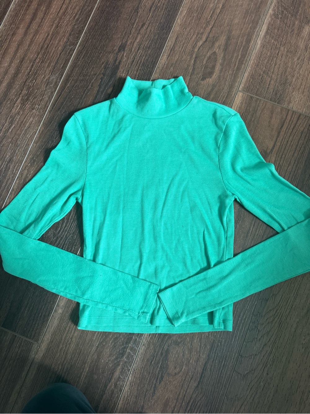 American Eagle Outfitters Mock Neck Long-Sleeve Ribbed Top